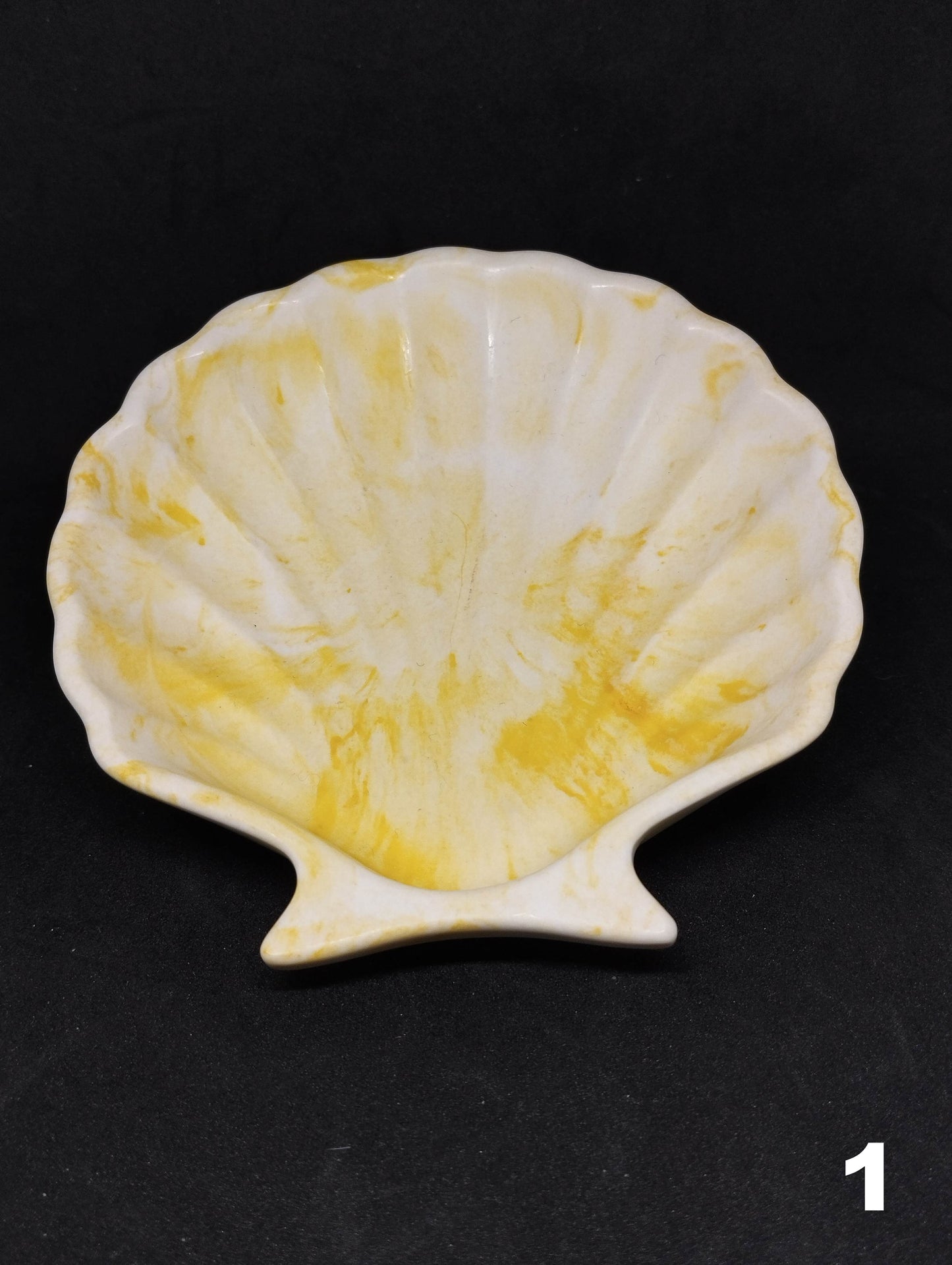 Small shell in Jesmonite
