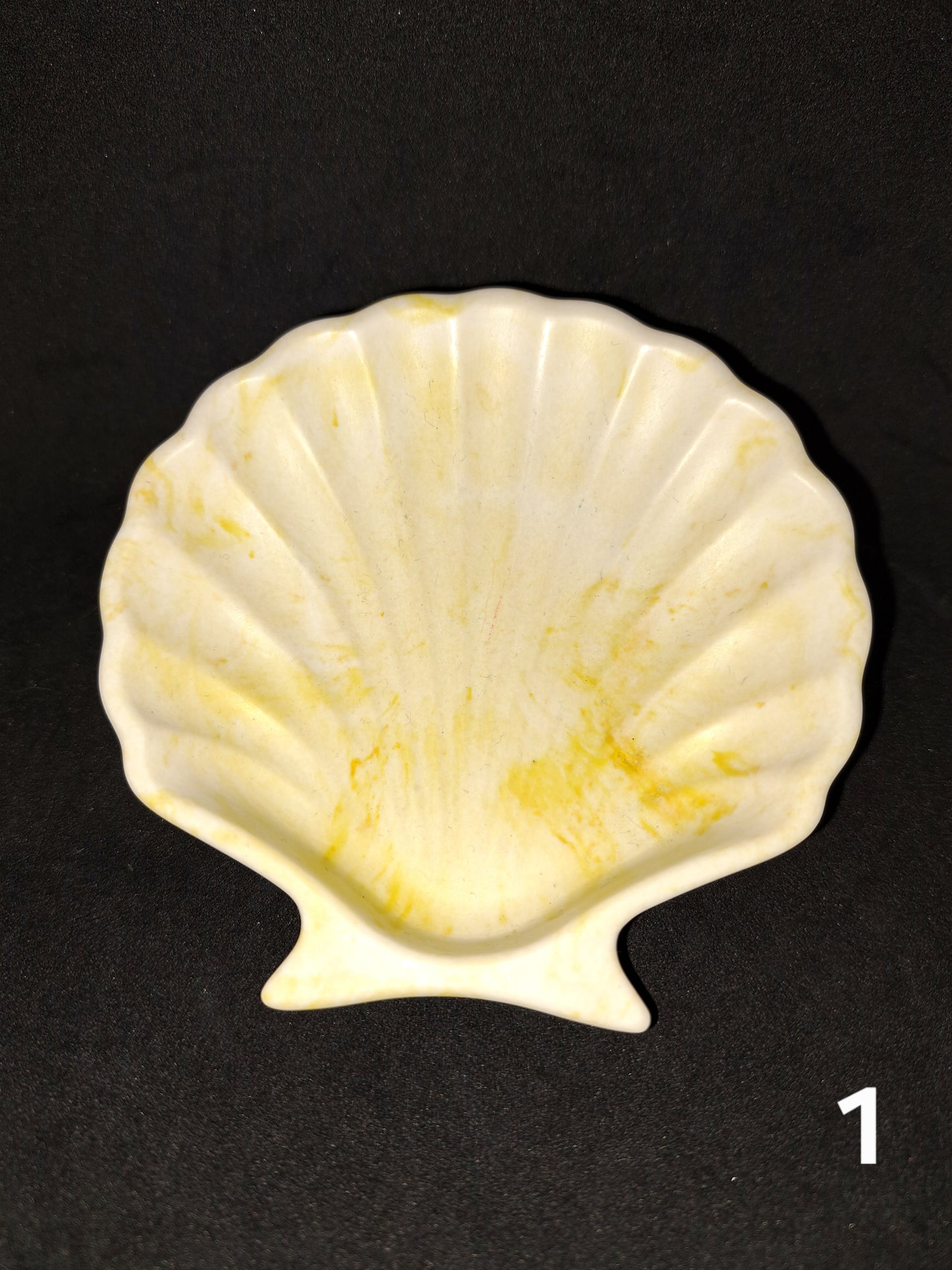 Small shell in Jesmonite