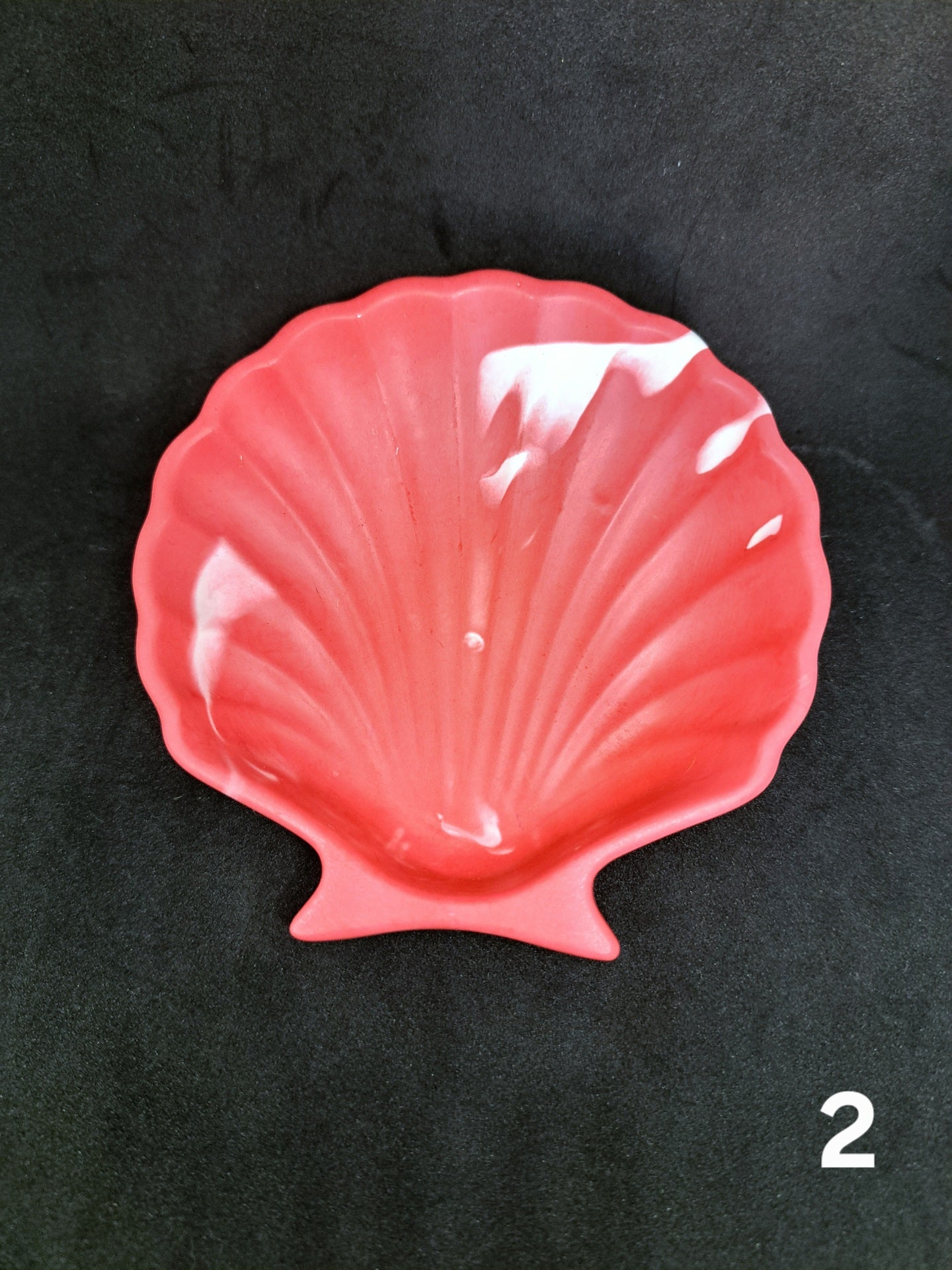 Small shell in Jesmonite