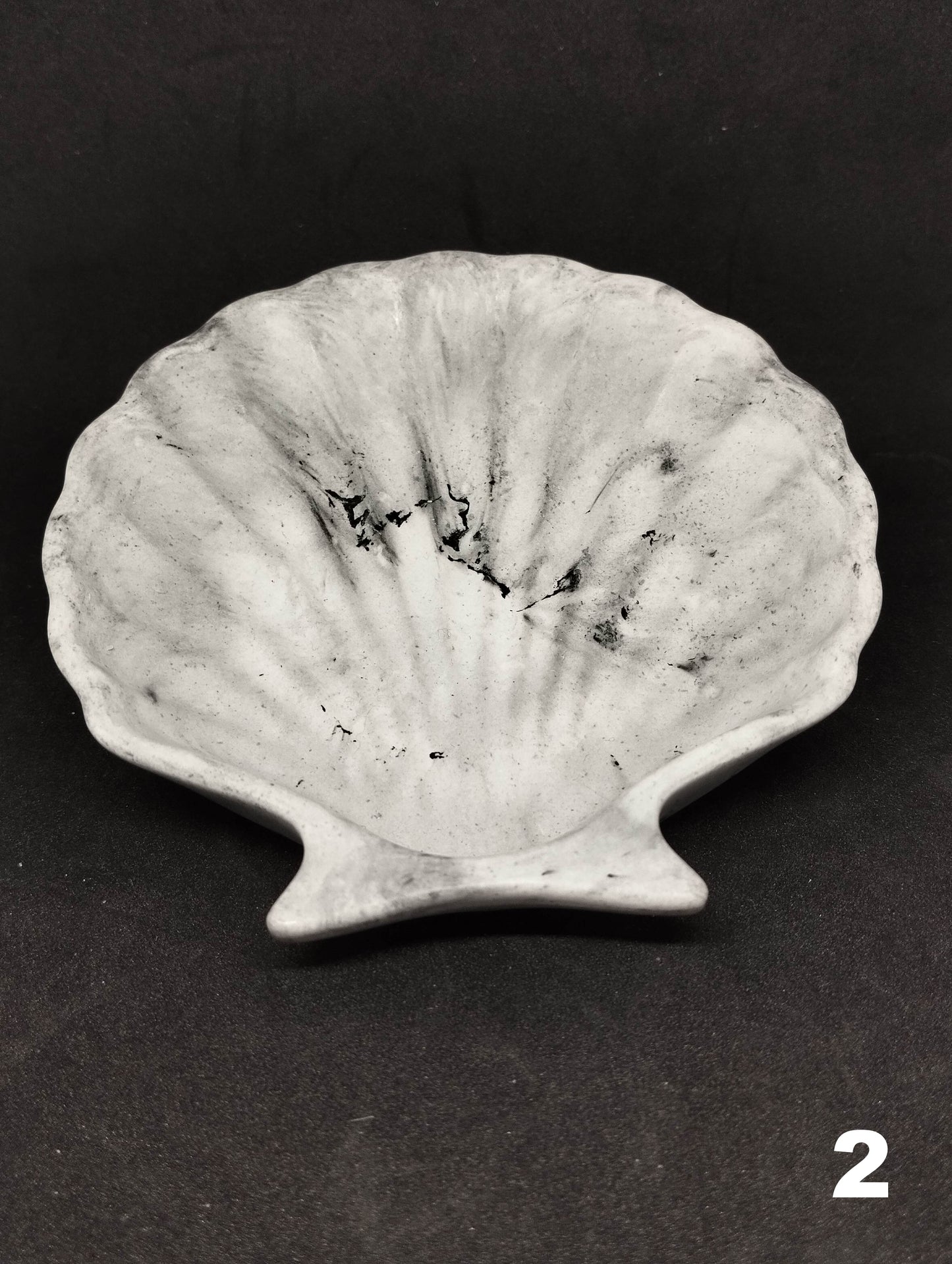 Small shell in Jesmonite