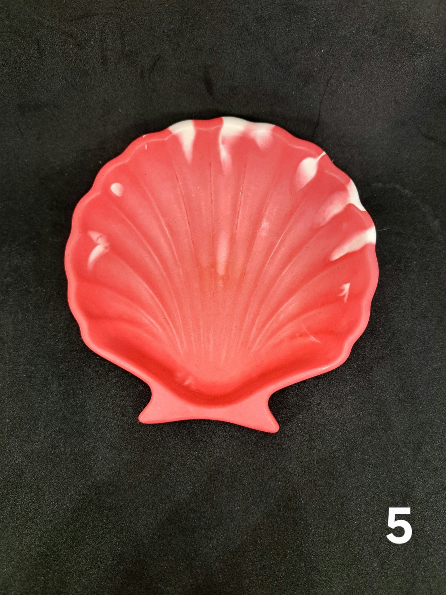 Small shell in Jesmonite