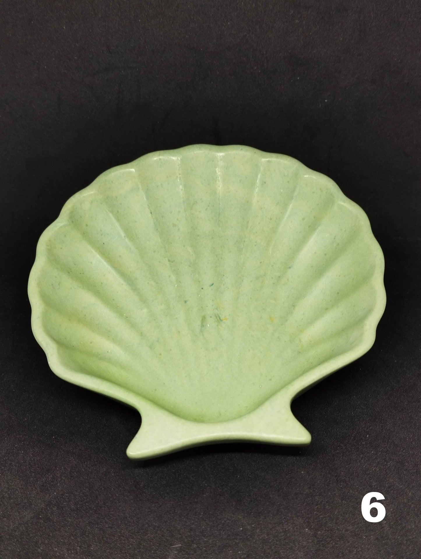 Small shell in Jesmonite