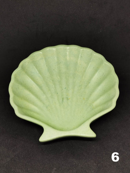 Small shell in Jesmonite