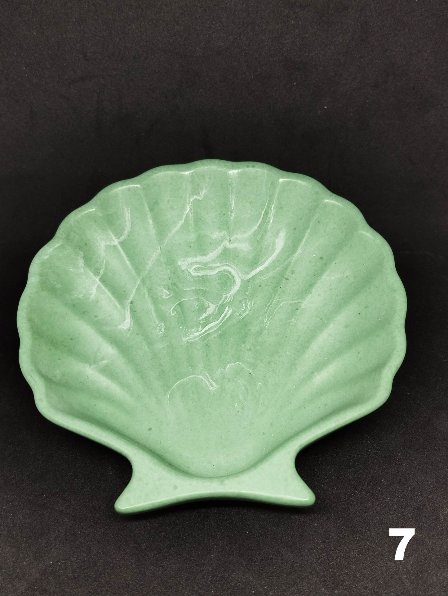 Small shell in Jesmonite